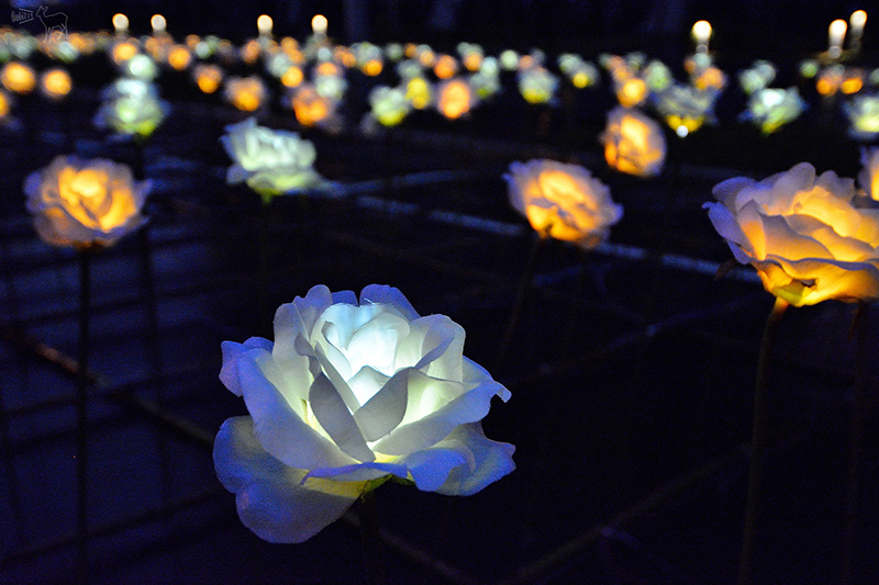 2016桃園燈會:繽紛主副燈,六大主題燈區與寬廣佔地.高鐵桃園站,免費接駁車