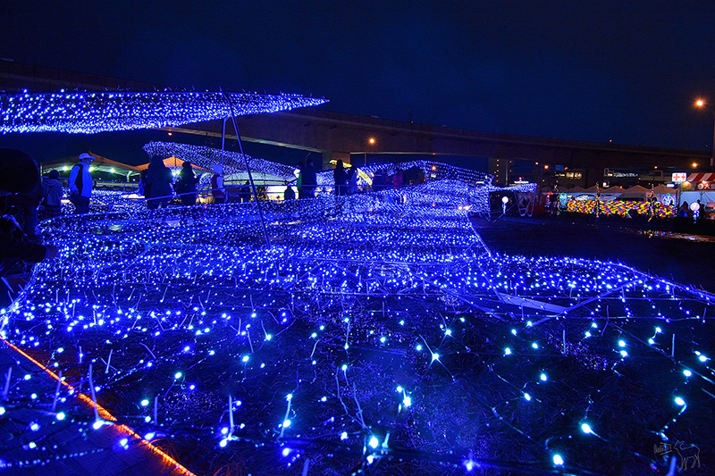 2016桃園燈會:繽紛主副燈,六大主題燈區與寬廣佔地.高鐵桃園站,免費接駁車