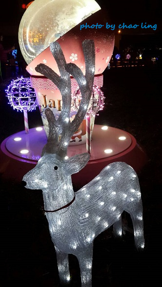 2016台灣燈會-14.jpg - 元宵燈會