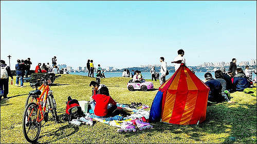 八里給部落客_9342