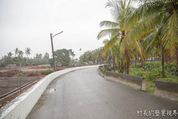 近海岸胡椒蝦:【食記】{屏東。林邊鄉}膽固醇的好朋友,近海岸胡椒蝦!活蝦料理