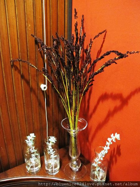 咖啡二訪 055.JPG