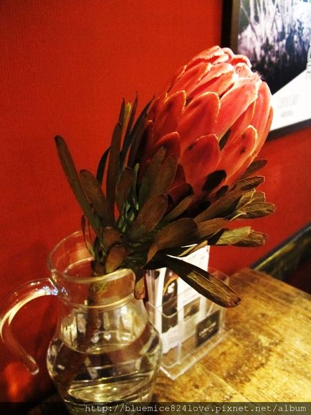 咖啡二訪 024.JPG