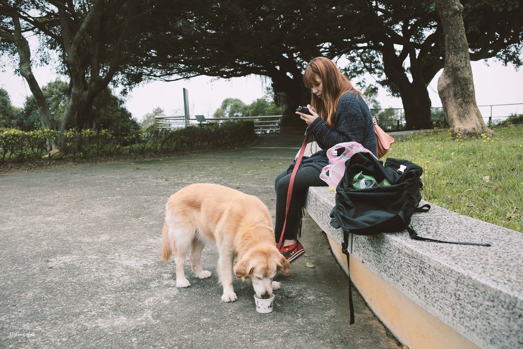 小狗的小叮噹科學園區