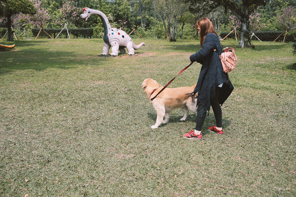 小狗的小叮噹科學園區