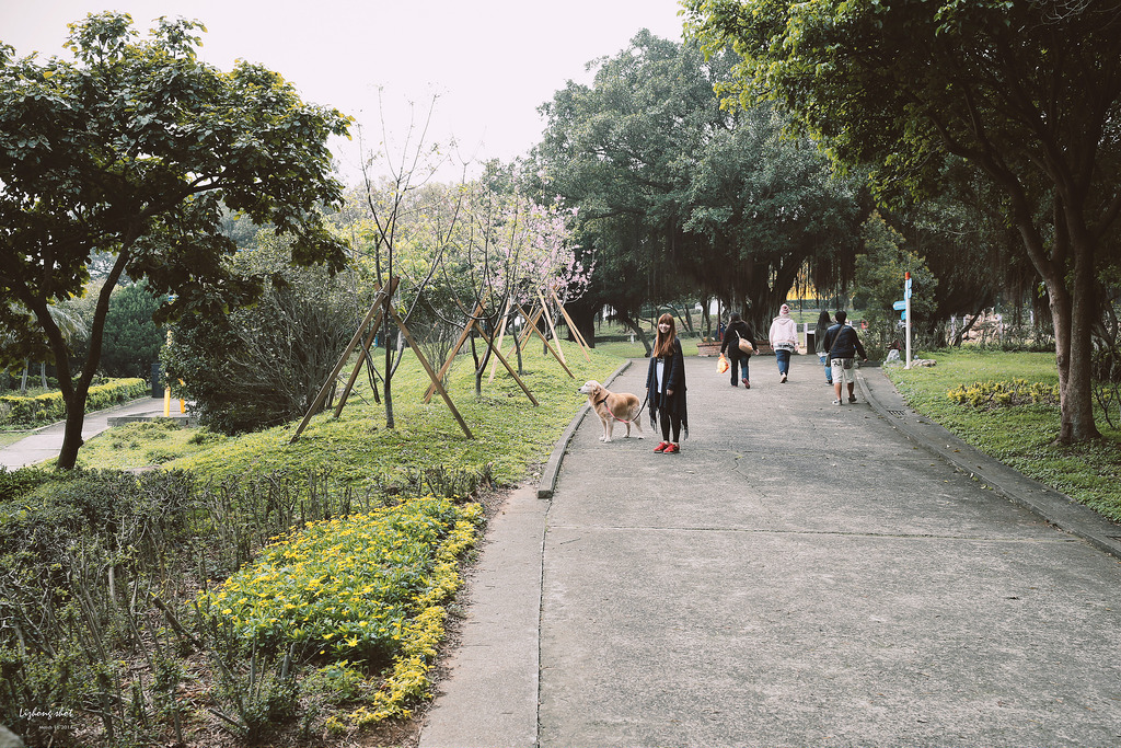 小狗的小叮噹科學園區