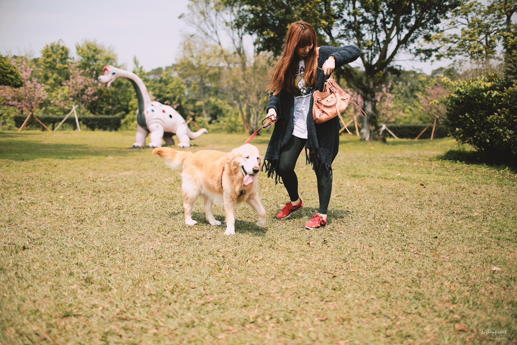小狗的小叮噹科學園區
