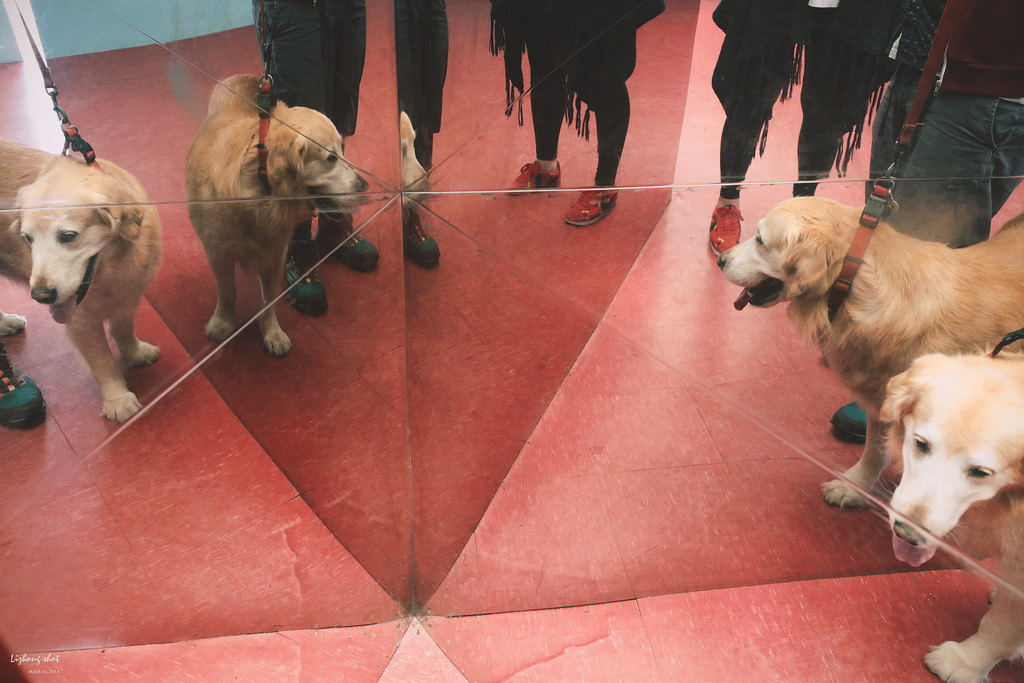 小狗的小叮噹科學園區