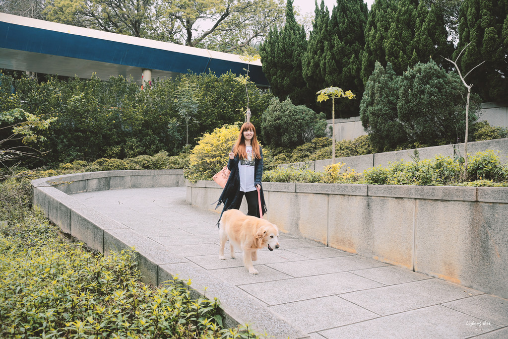 小狗的小叮噹科學園區