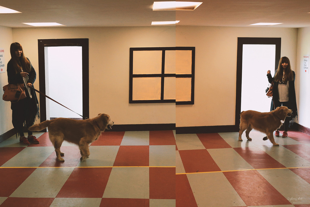 小狗的小叮噹科學園區