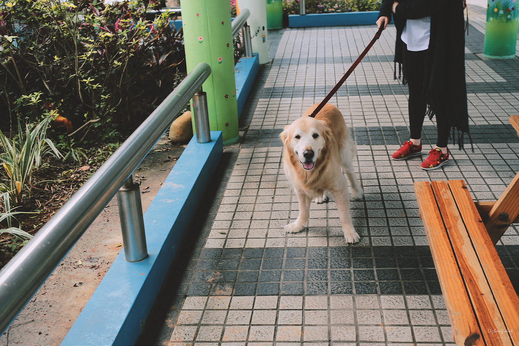 小狗的小叮噹科學園區