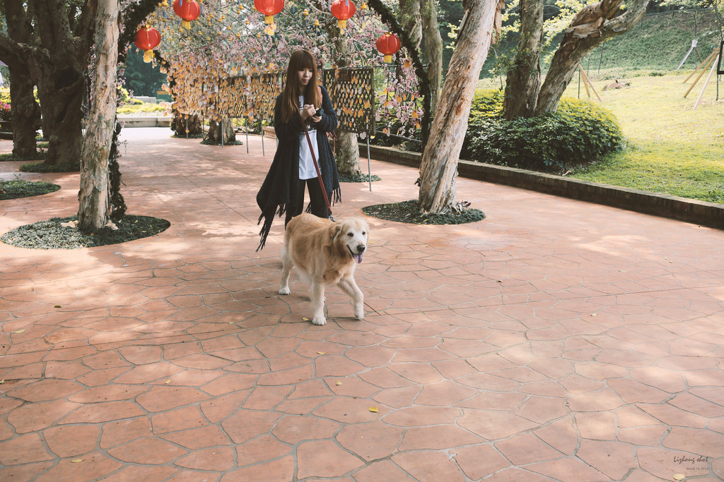 小狗的小叮噹科學園區