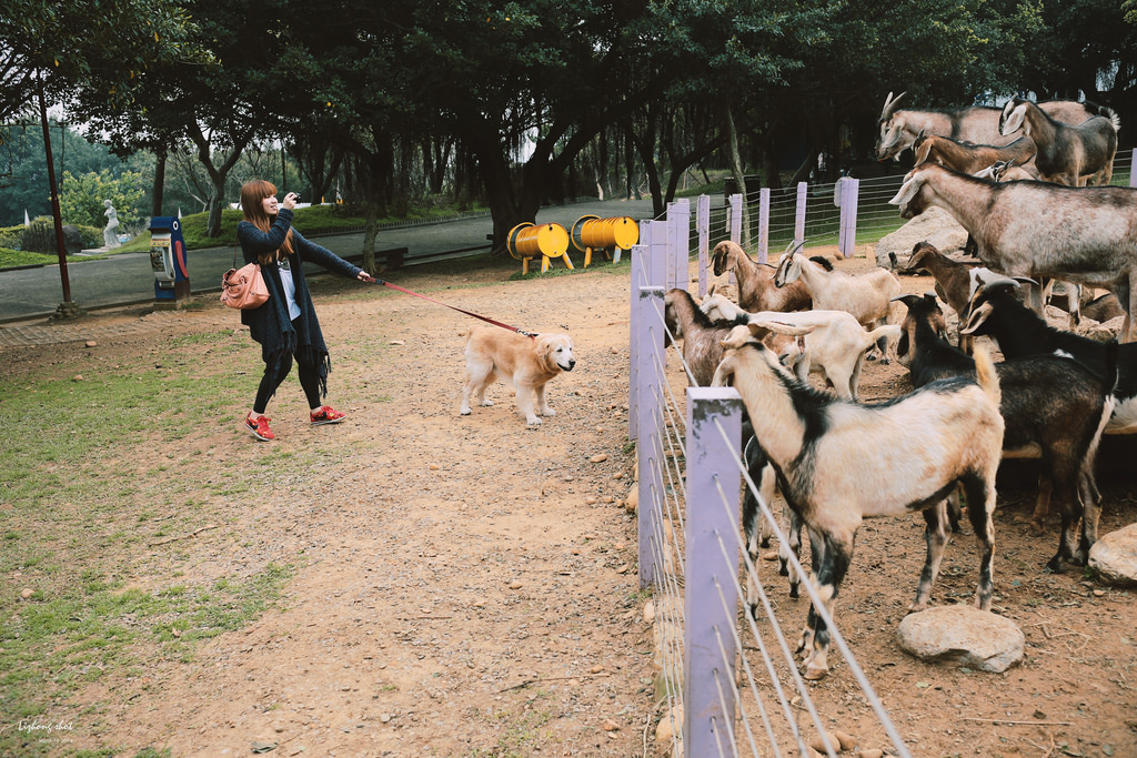 小狗的小叮噹科學園區
