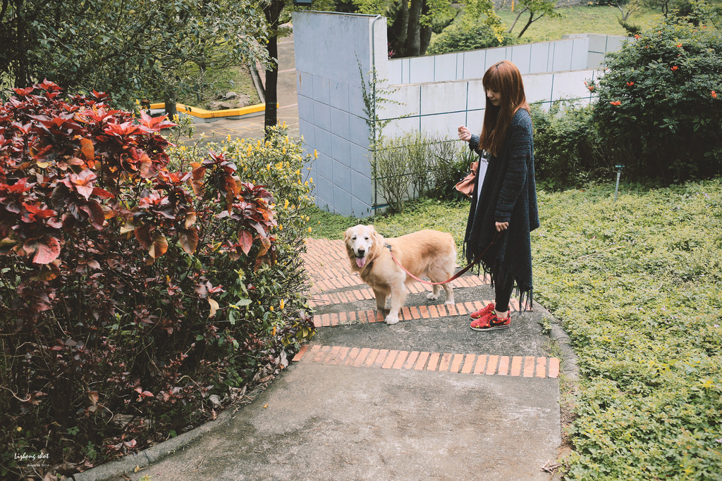 小狗的小叮噹科學園區