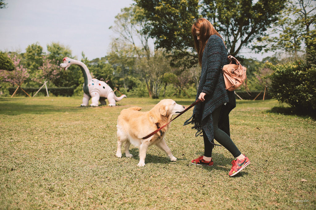 小狗的小叮噹科學園區