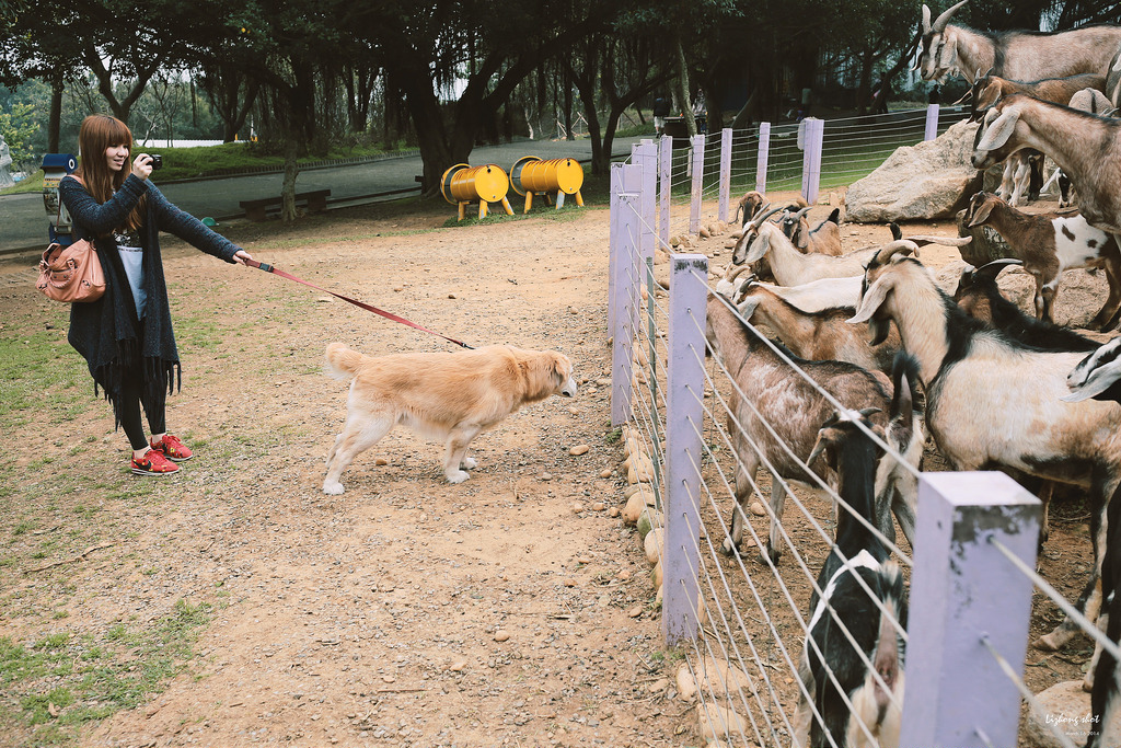 小狗的小叮噹科學園區