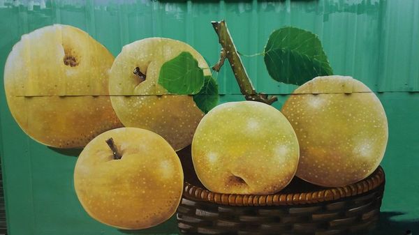 馬力埔彩繪小徑：【台中景點】馬力埔彩繪小徑