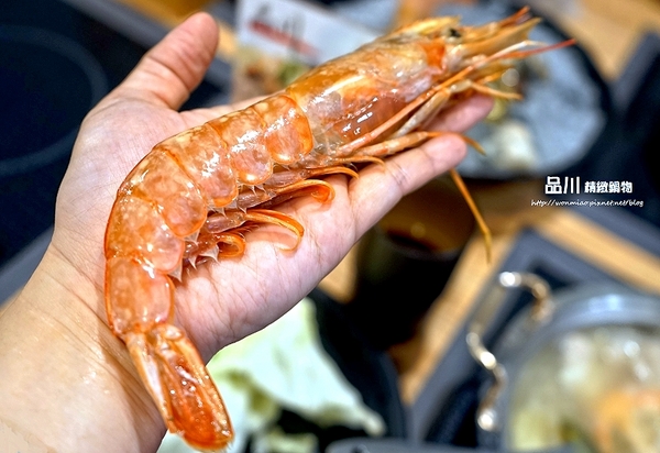 品川精緻鍋物：【板橋火鍋】板橋捷運站週邊美食／火鍋推薦／南瓜牛奶鍋／酸菜白肉鍋 ✿✿ 品川精緻鍋物 ✿✿ （完整菜單）