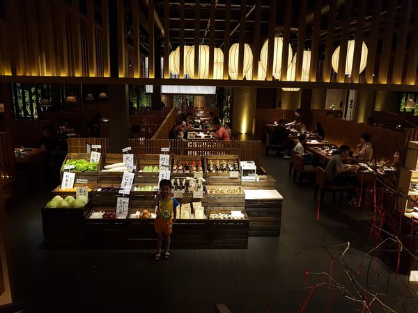 【台中/南屯】拾七石頭火鍋