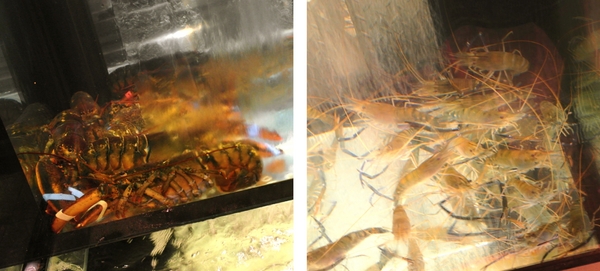 龍八燒肉 黑毛和牛專賣:〖台中│美食〗龍八燒肉 黑毛和牛專賣 ❤ 台中燒肉推薦!!使用頂級安格斯和牛搭配鮮活海鮮,還有韓國夯到不行的雪濃湯!!