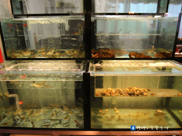 龍八燒肉 黑毛和牛專賣:〖台中│美食〗龍八燒肉 黑毛和牛專賣 ❤ 台中燒肉推薦!!使用頂級安格斯和牛搭配鮮活海鮮,還有韓國夯到不行的雪濃湯!!