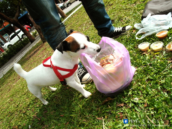 不只是沙拉:〖台中│美食〗不只是沙拉 ❤ 冬天吃肥肥,快來碗兼具營養又健康的沙拉,來去油一下!!還有美味的咖哩飯及番茄湯溫暖上市唷!!