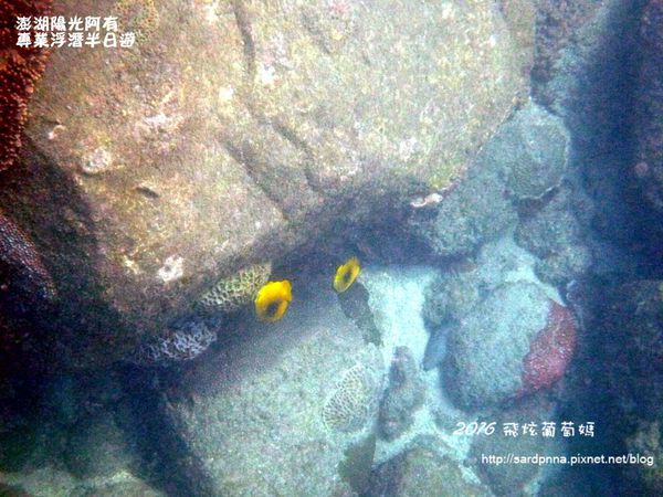 澎湖陽光阿有浮潛 SABAI B&B (97).JPG