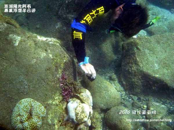 澎湖陽光阿有浮潛 SABAI B&B (113).JPG