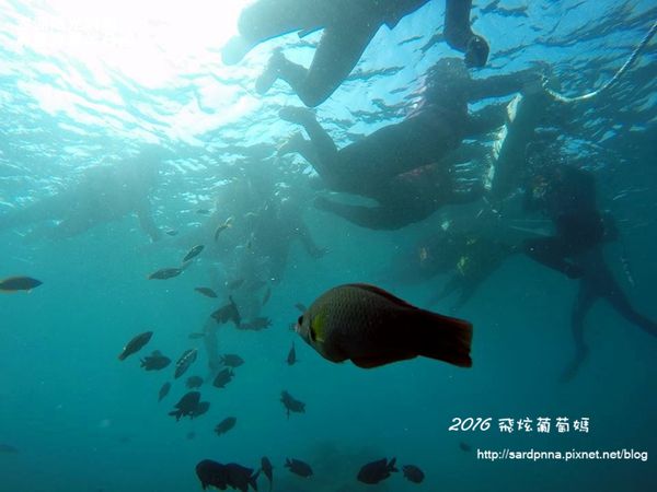 澎湖陽光阿有浮潛 SABAI B&B (128).jpg