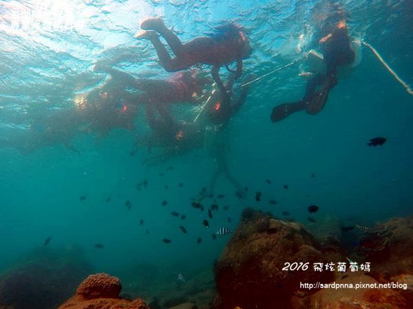 澎湖陽光阿有浮潛 SABAI B&B (135).jpg