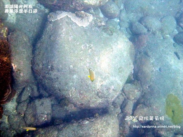 澎湖陽光阿有浮潛 SABAI B&B (88).JPG