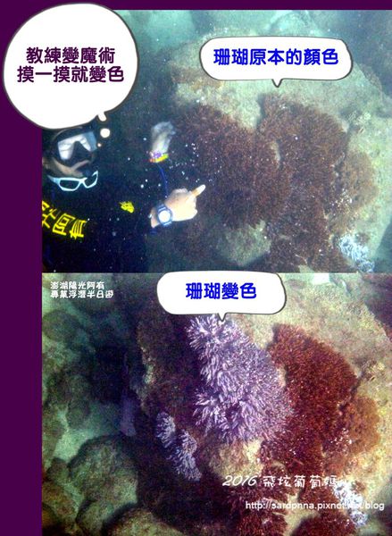 澎湖陽光阿有浮潛 SABAI B&B (119).jpg