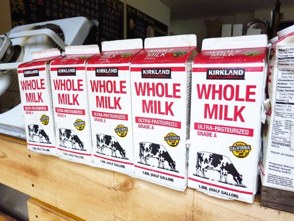 【桃園美食】職人炭烤吐司-超級爆漿起士炭烤吐司