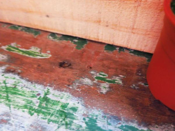 【桃園美食】職人炭烤吐司-超級爆漿起士炭烤吐司