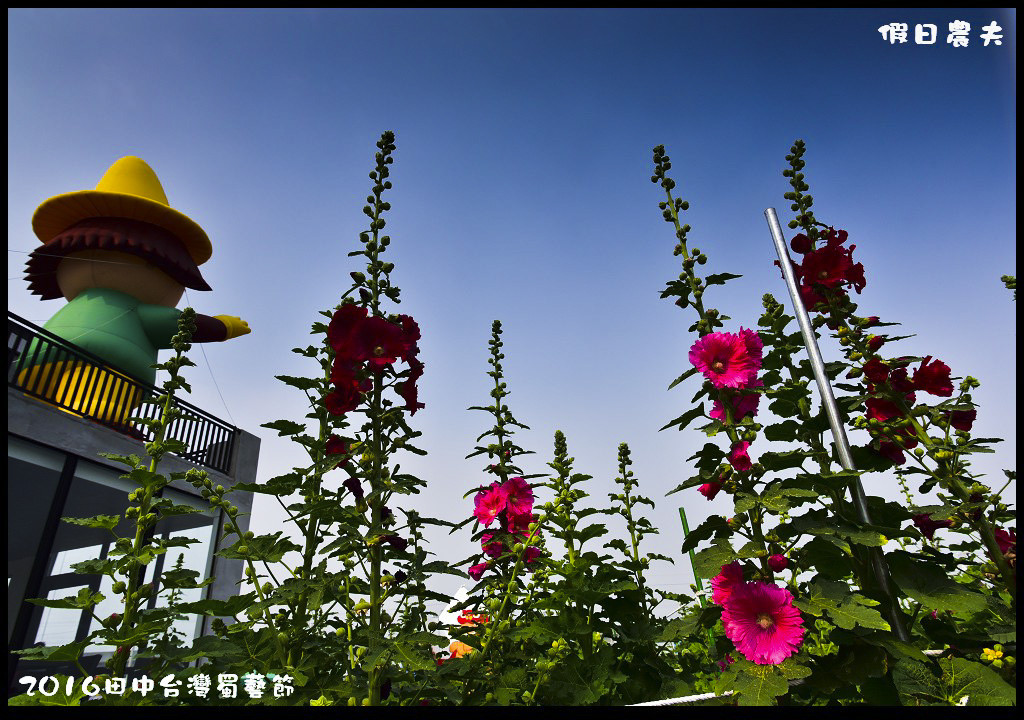 2016田中台灣蜀藝節DSC_9469