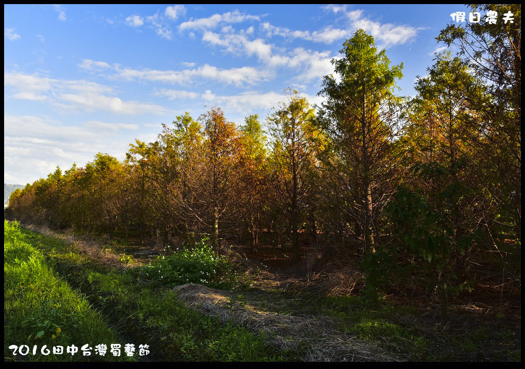 2016田中台灣蜀藝節DSC_8258