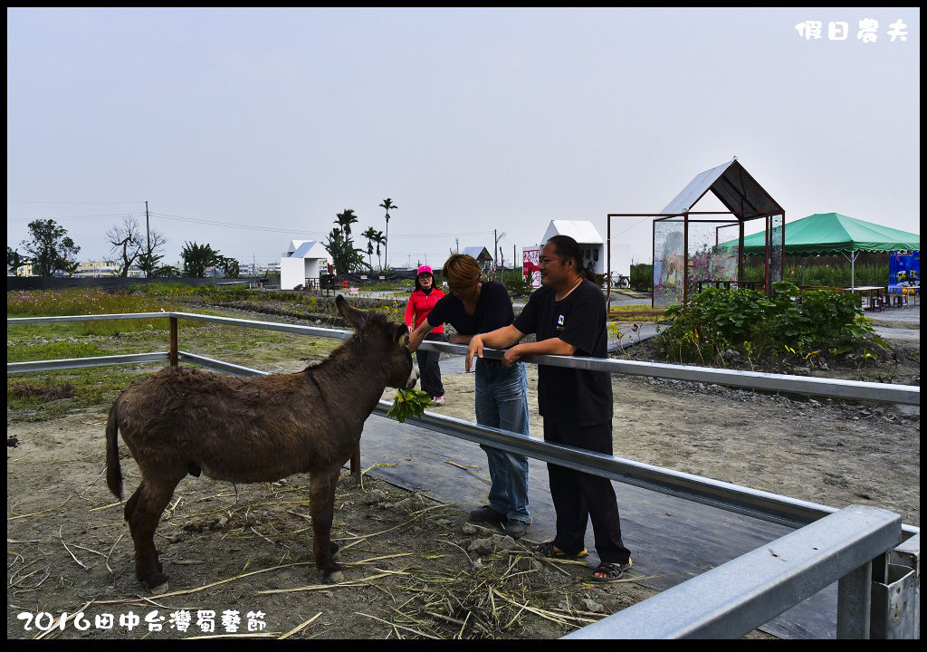 2016田中台灣蜀藝節DSC_9541