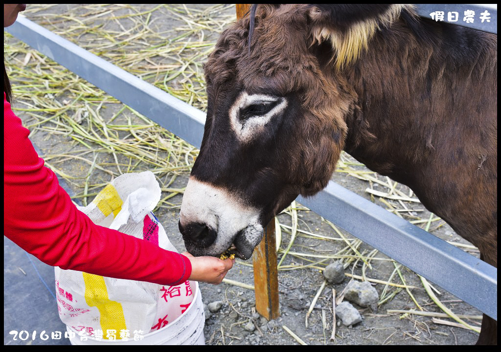 2016田中台灣蜀藝節DSC_9546