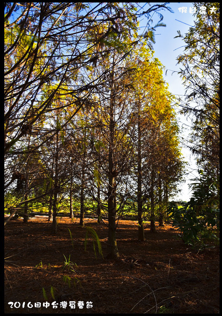 2016田中台灣蜀藝節DSC_8262