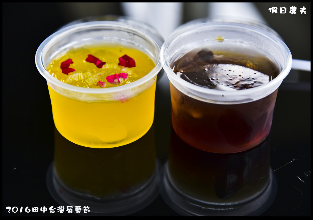 2016田中台灣蜀藝節DSC_9608