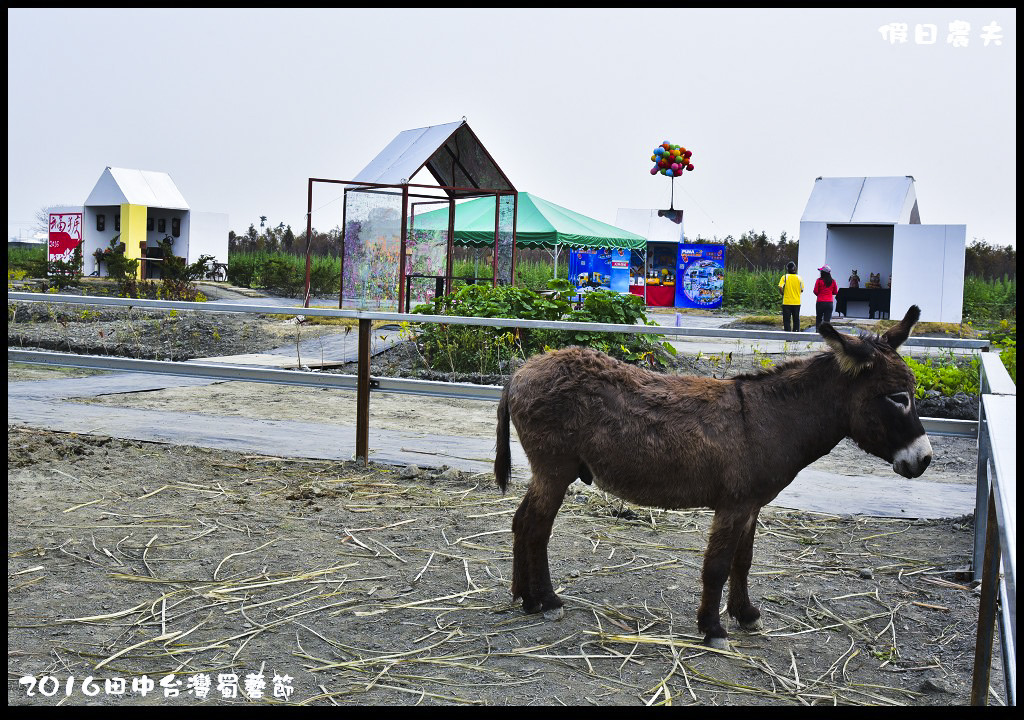 2016田中台灣蜀藝節DSC_9539