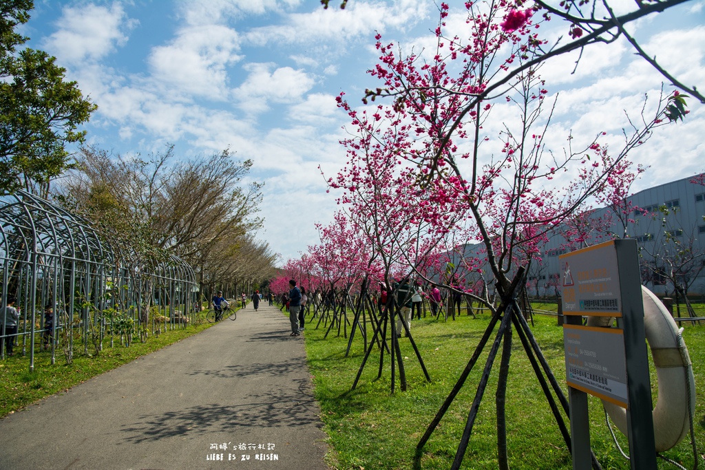 DSC_8065.jpg