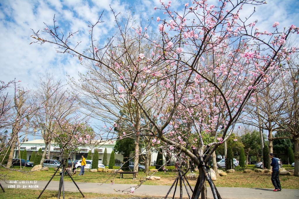 DSC_8104.jpg