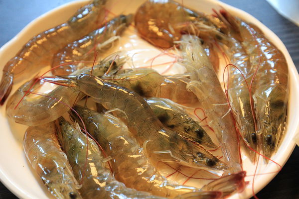 草屯火鍋吃到飽餐廳4300