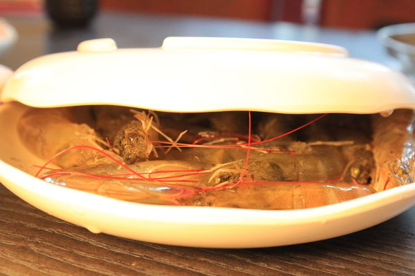 草屯火鍋吃到飽餐廳4323