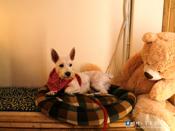 老樂灣:〖台中│美食〗老樂灣 ❤ 採用新鮮食材,手工熬煮湯頭,無添加化學添加物,鍋物澎派,湯頭美味,均一價只要180元!!