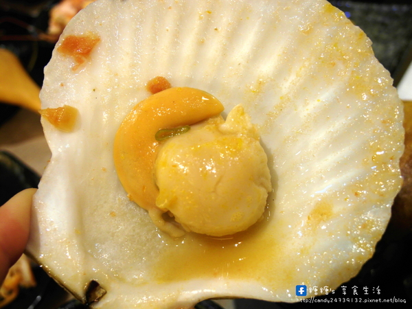 老樂灣:〖台中│美食〗老樂灣 ❤ 採用新鮮食材,手工熬煮湯頭,無添加化學添加物,鍋物澎派,湯頭美味,均一價只要180元!!