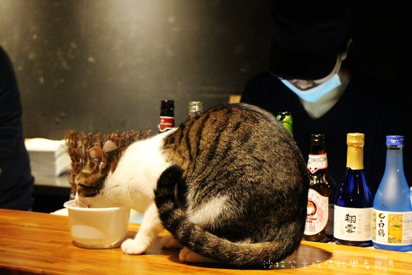 工地饗夜堂：新店居酒屋『工地饗夜堂』捷運小碧潭站/寵物友善餐廳/串燒/宵夜