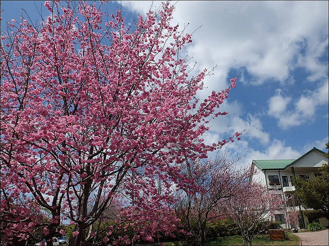 11011054_884676481574991_1403889519238195577_n