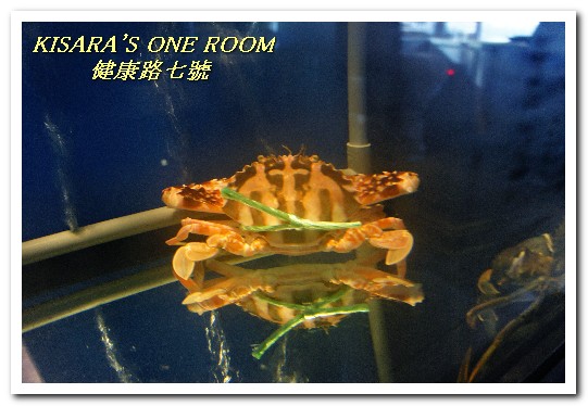 健康路7號：小巨蛋火鍋．使用知名鑄鐵鍋具的品味健康鍋──健康路七號